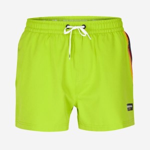 Boardshort Havaianas Corta Hava Classiche Uomo | 17365RYKZ