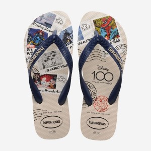 Infradito Havaianas Top 100 Past Donna | 73854TCIB