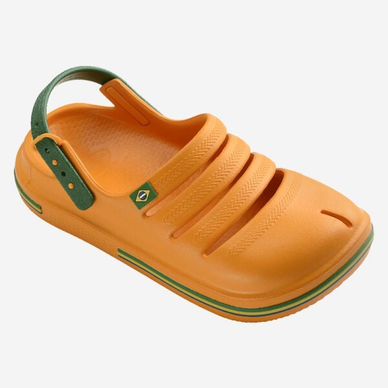 Bambino Havaianas Clog Brasil | 71968SFXN