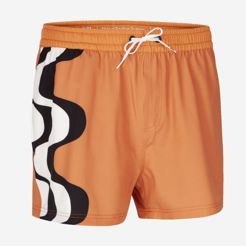 Boardshort Havaianas Copacabana Uomo | 10432KVZL