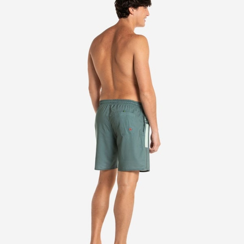 Boardshort Havaianas Eur Mid New Logomania Uomo | 56042ORQB