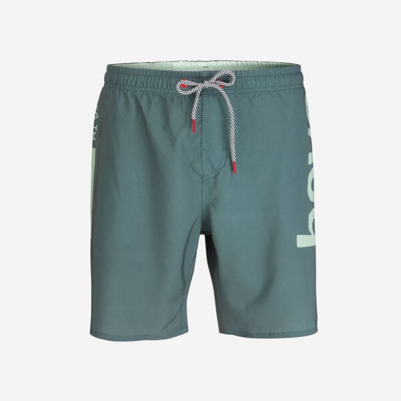 Boardshort Havaianas Eur Mid New Logomania Uomo | 56042ORQB