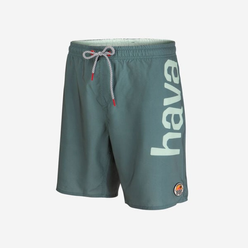 Boardshort Havaianas Eur Mid New Logomania Uomo | 56042ORQB