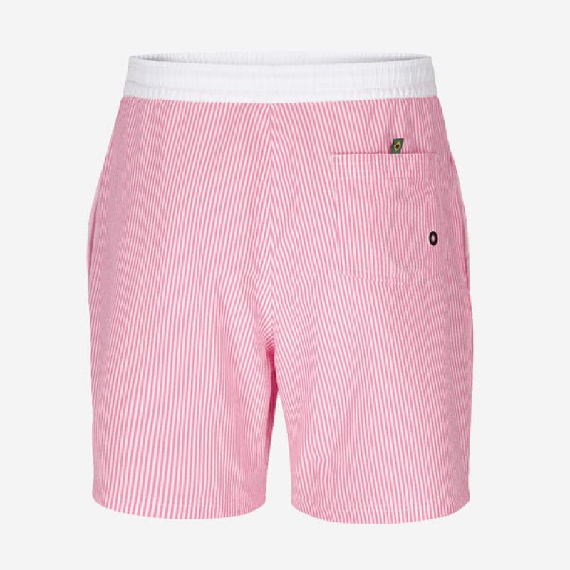 Boardshort Havaianas Stripes Uomo | 72835ISDT