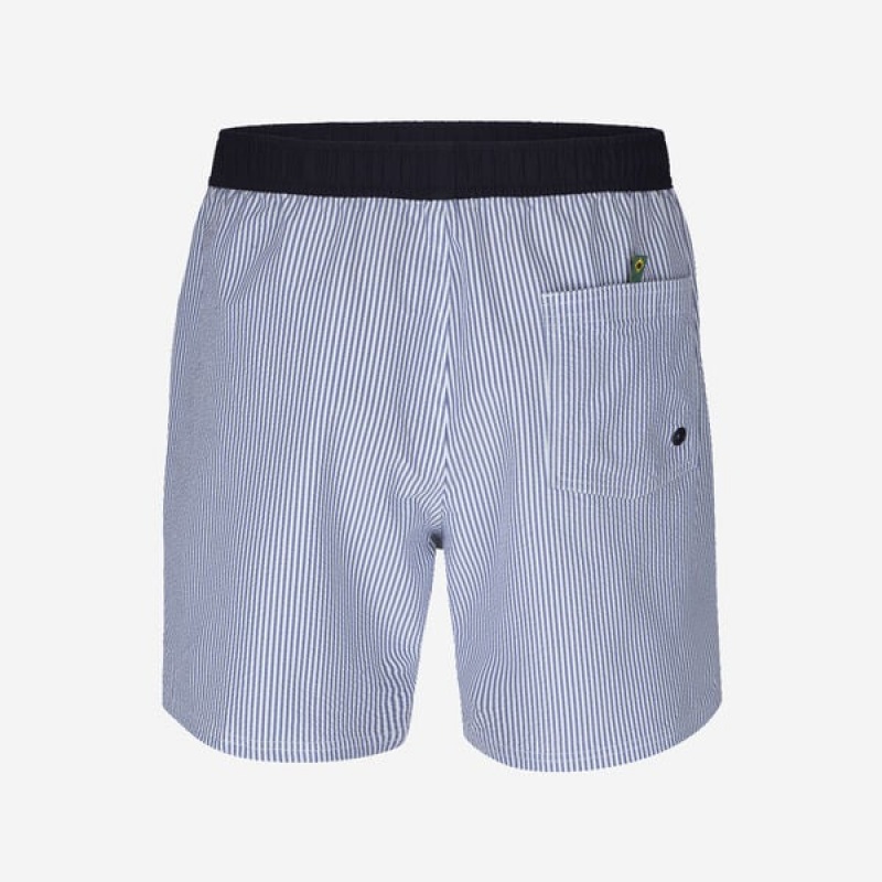 Boardshort Havaianas Stripes Uomo | 98102TREH