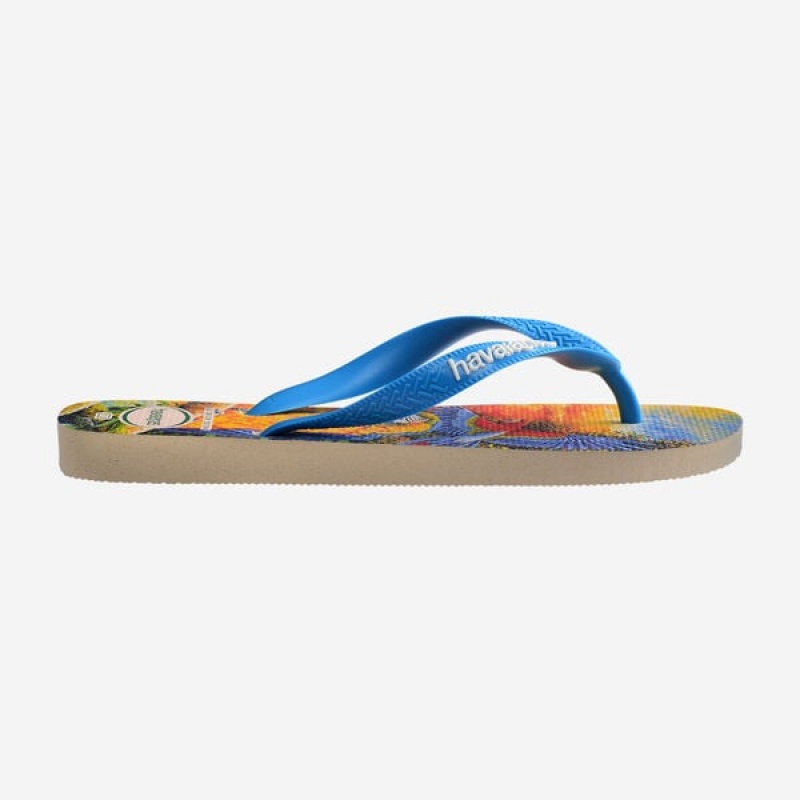 Infradito Havaianas BEI Donna | 64739TFKQ