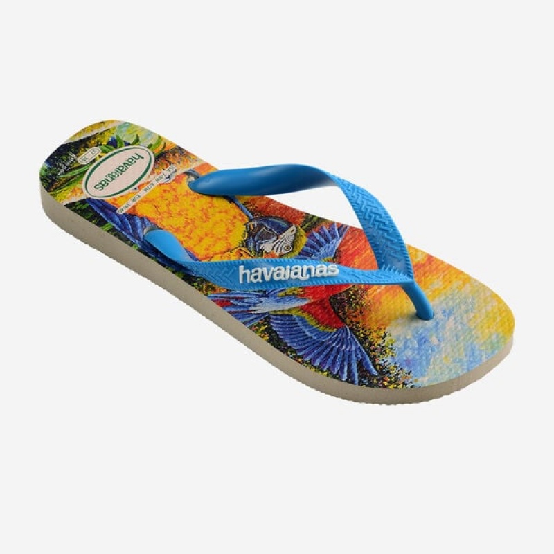 Infradito Havaianas BEI Donna | 64739TFKQ