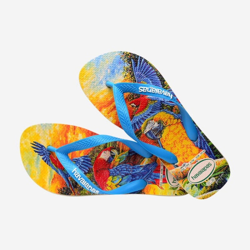 Infradito Havaianas BEI Donna | 64739TFKQ