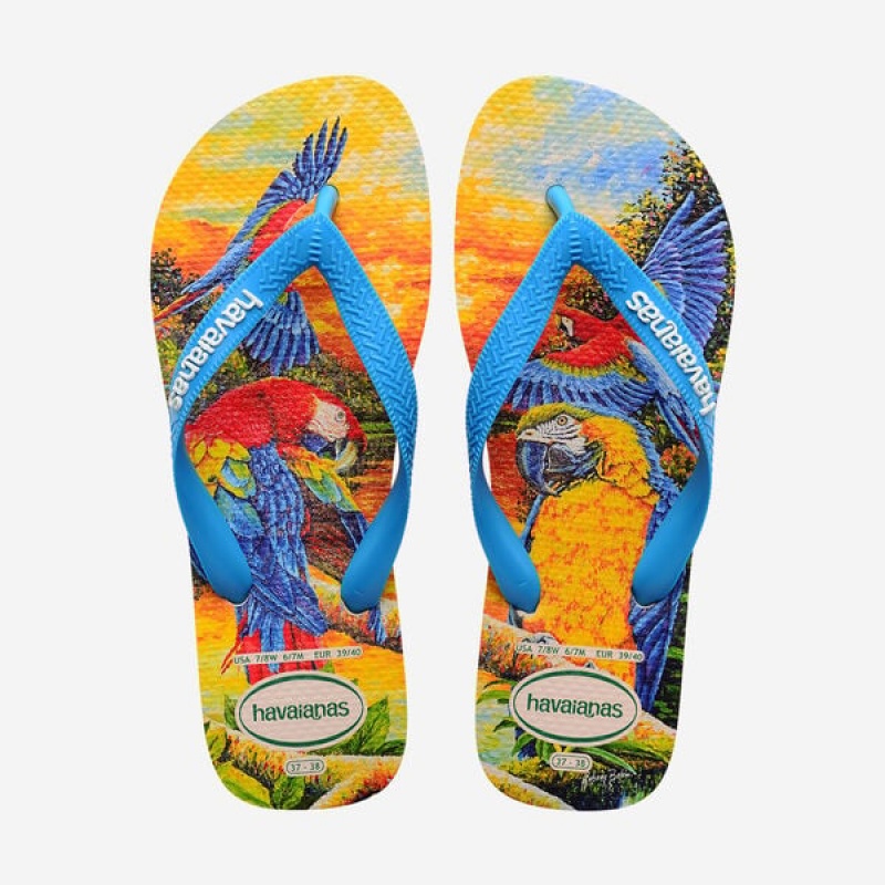 Infradito Havaianas BEI Donna | 64739TFKQ