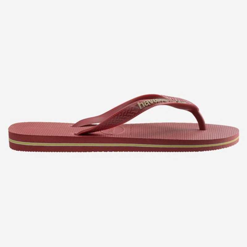 Infradito Havaianas Brasil Logo Donna | 31256LENB