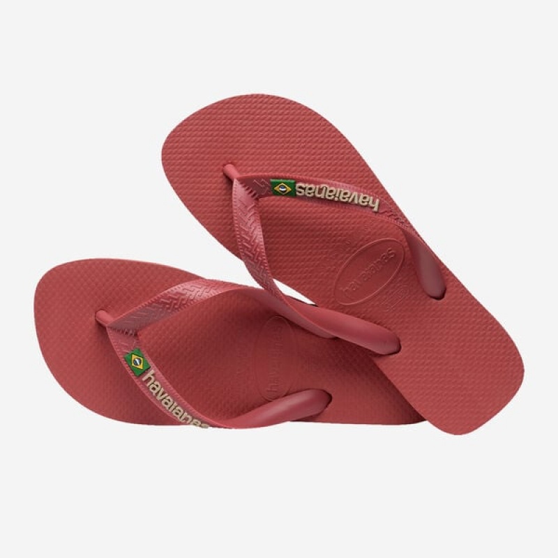 Infradito Havaianas Brasil Logo Donna | 31256LENB