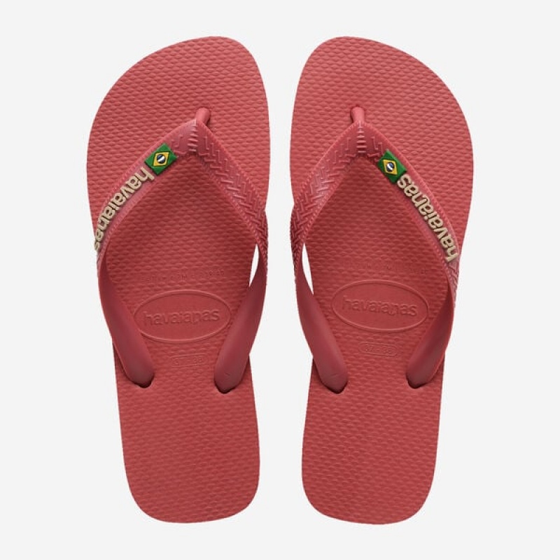 Infradito Havaianas Brasil Logo Donna | 31256LENB