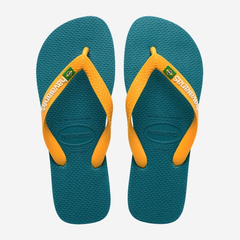 Infradito Havaianas Brasil Logo Uomo | 63072VICD