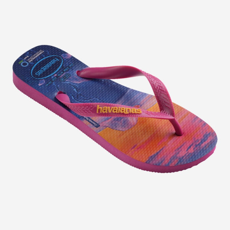 Infradito Havaianas Conservation International Donna | 49730GMPV