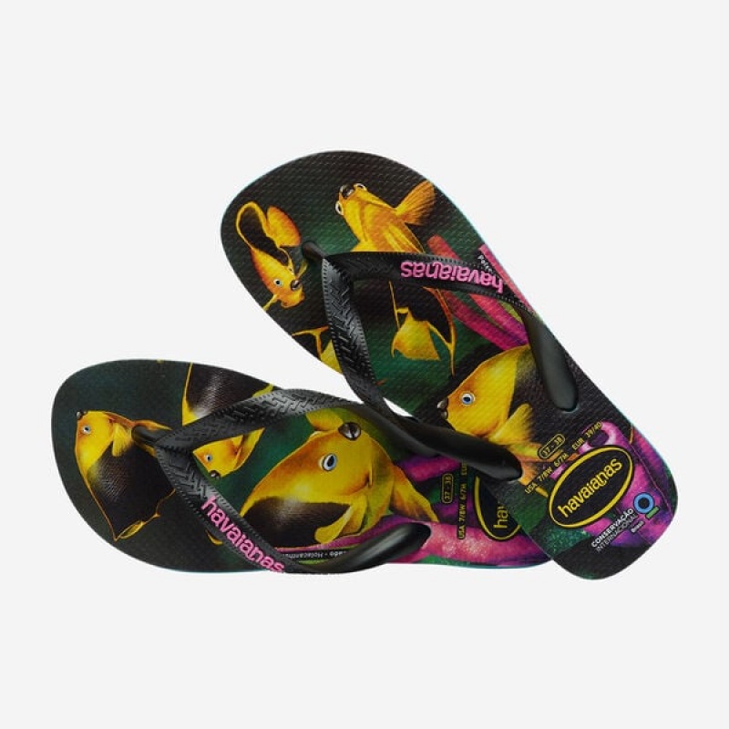 Infradito Havaianas Conservation International Donna | 82154MGXP