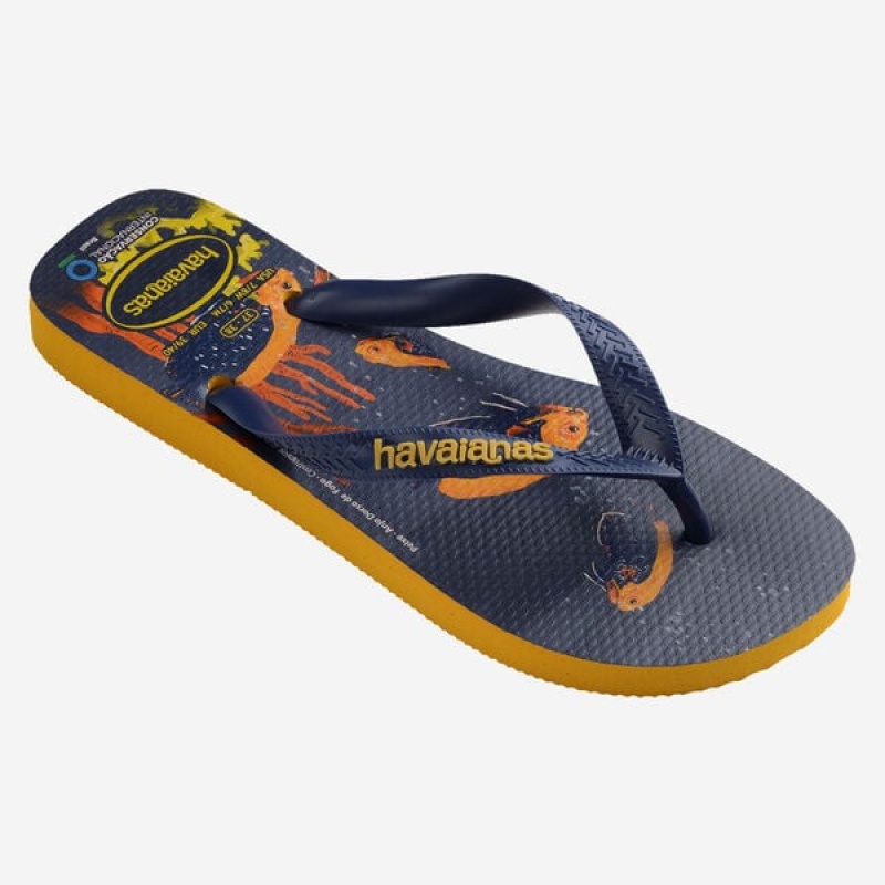 Infradito Havaianas Conservation International Uomo | 79658FILQ