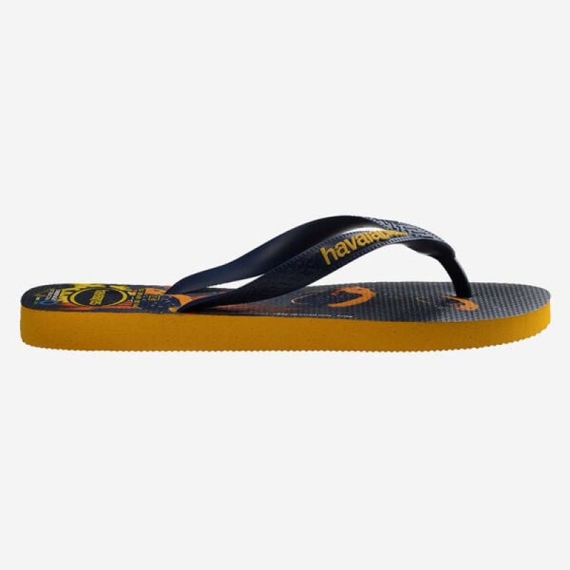 Infradito Havaianas Conservation International Uomo | 79658FILQ