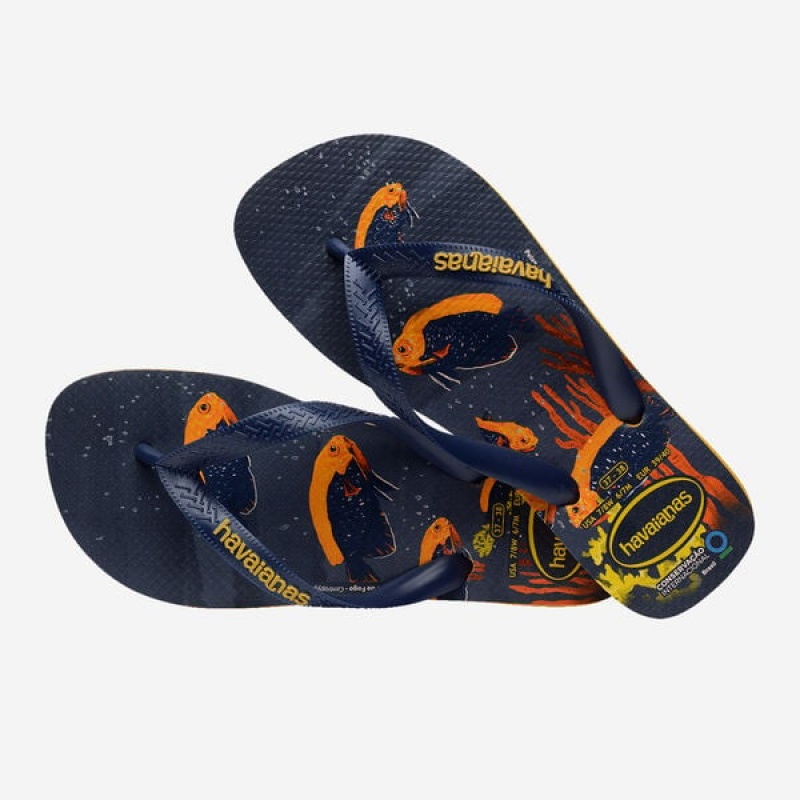 Infradito Havaianas Conservation International Uomo | 79658FILQ