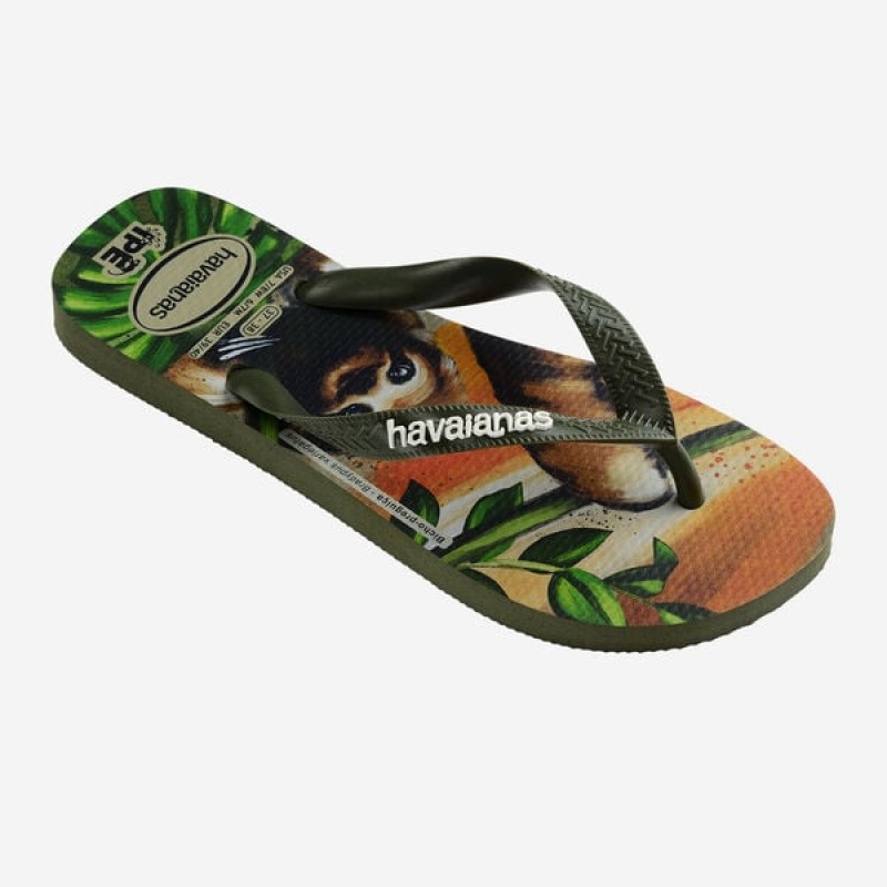 Infradito Havaianas Ipe Donna | 18569ZCUM