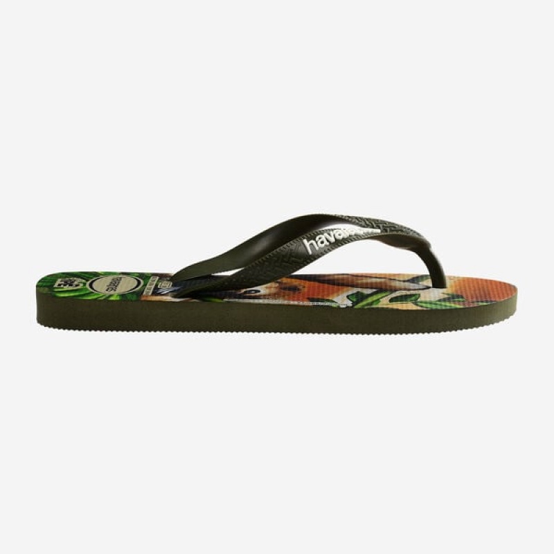 Infradito Havaianas Ipe Donna | 18569ZCUM