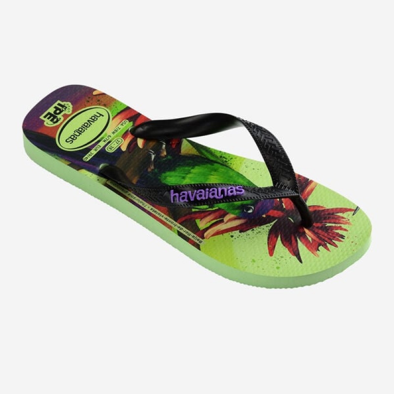 Infradito Havaianas Ipe Donna | 23674TCEO