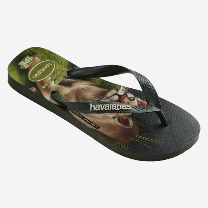 Infradito Havaianas Ipe Uomo | 14372ZFNP