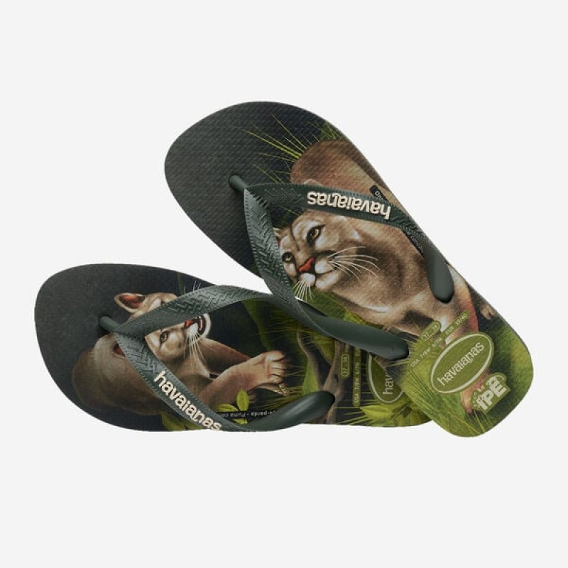 Infradito Havaianas Ipe Uomo | 14372ZFNP