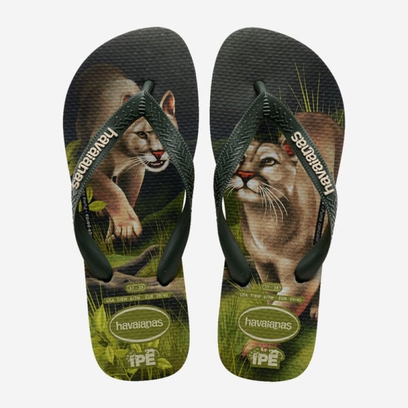 Infradito Havaianas Ipe Uomo | 14372ZFNP