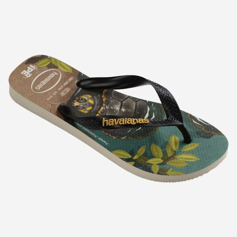 Infradito Havaianas Ipe Uomo | 71543MJNF