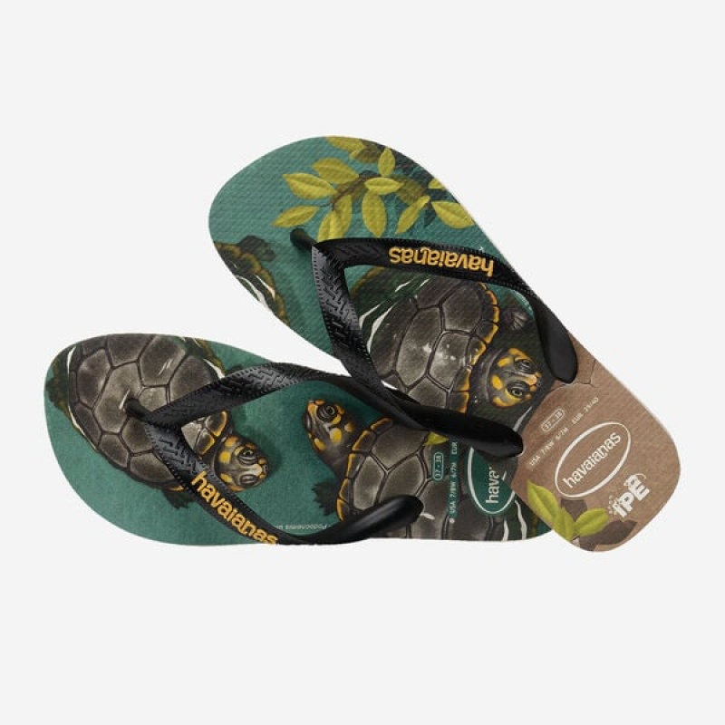 Infradito Havaianas Ipe Uomo | 71543MJNF