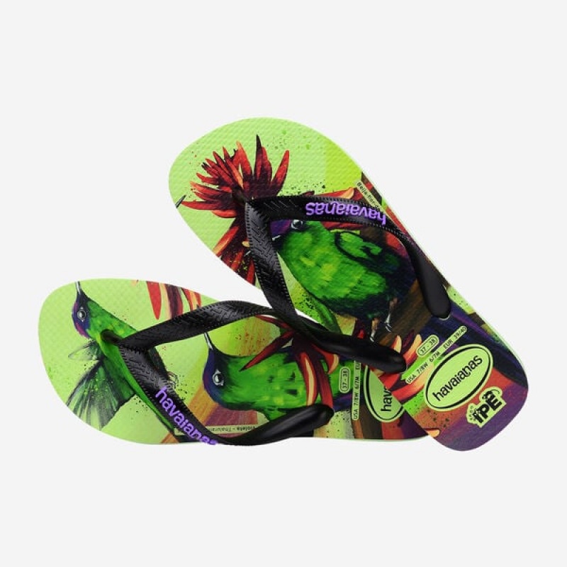 Infradito Havaianas Ipe Uomo | 71609GMXO