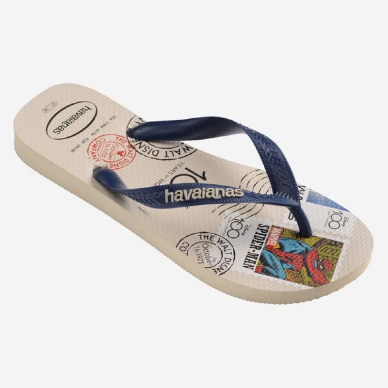 Infradito Havaianas Top 100 Past Uomo | 60523OFDN