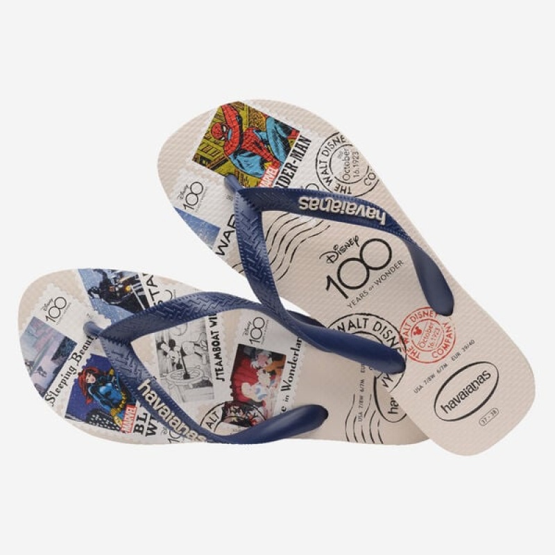 Infradito Havaianas Top 100 Past Uomo | 60523OFDN