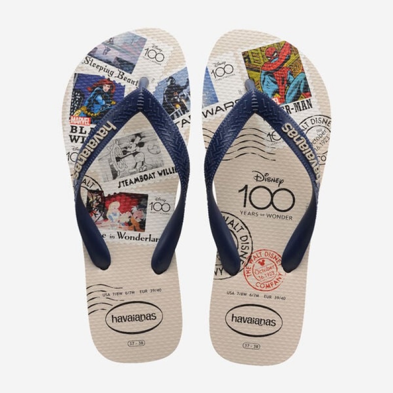 Infradito Havaianas Top 100 Past Uomo | 60523OFDN