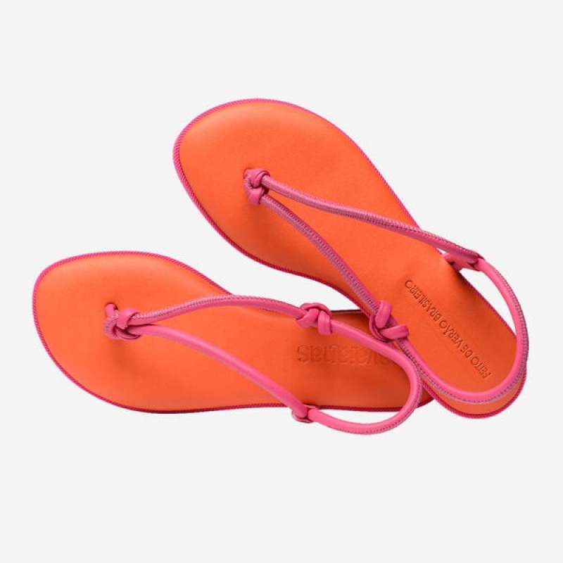 Sandali Havaianas Una Acai Donna | 46519WMIV