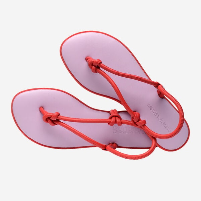 Sandali Havaianas Una Acai Donna | 84093UEAZ